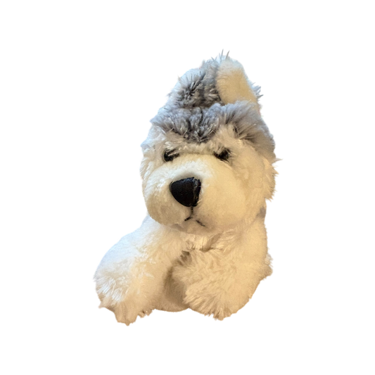 Webkinz Husky