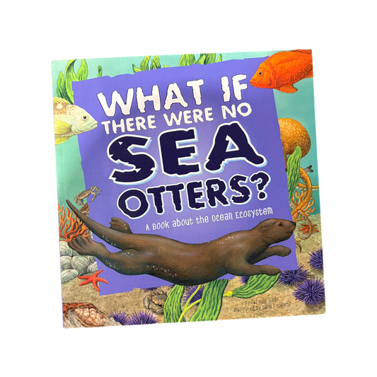 What If There Were No Sea Otters? A Book about the Ocean Ecosystem