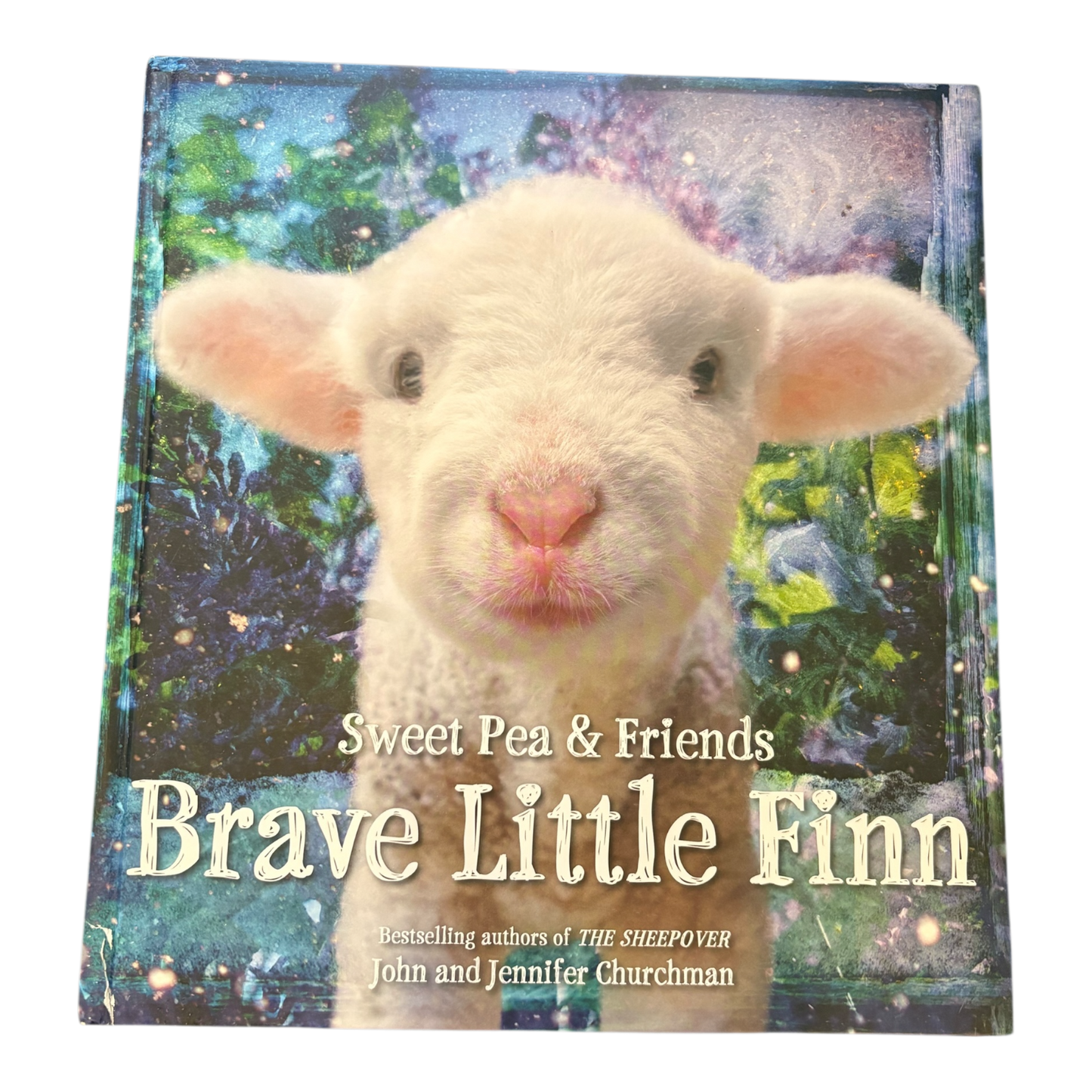 Brave Little Finn