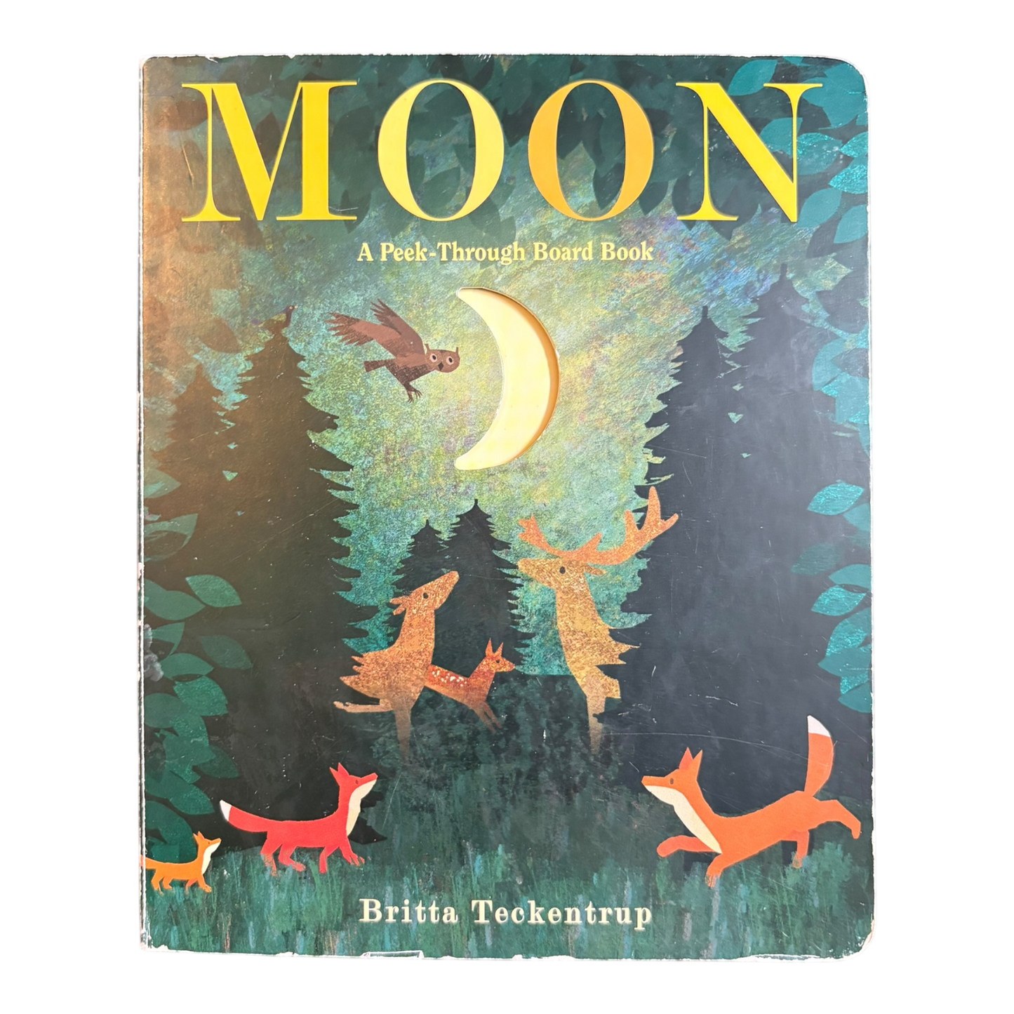 Moon: A Peek-Through Board Book