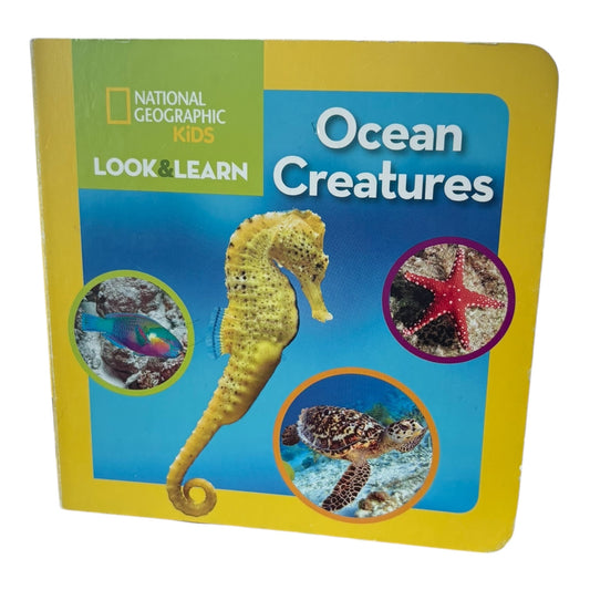 Ocean Creatures