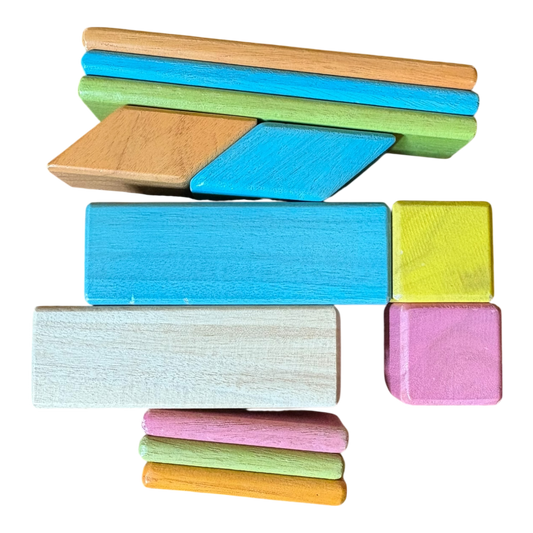 Tegu set of 12