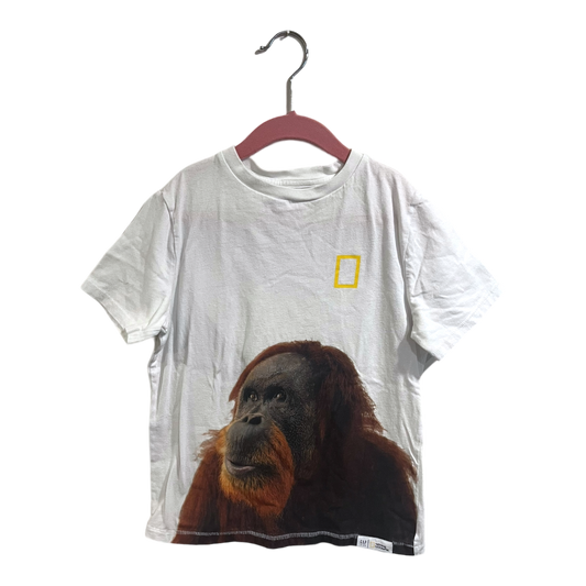 National Geographic Sumatran Orangutan tee Med (7/8)