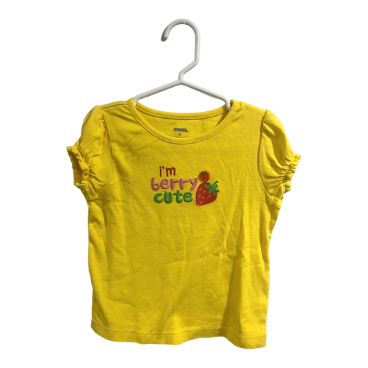 Gymboree Berry Cute tee 3T