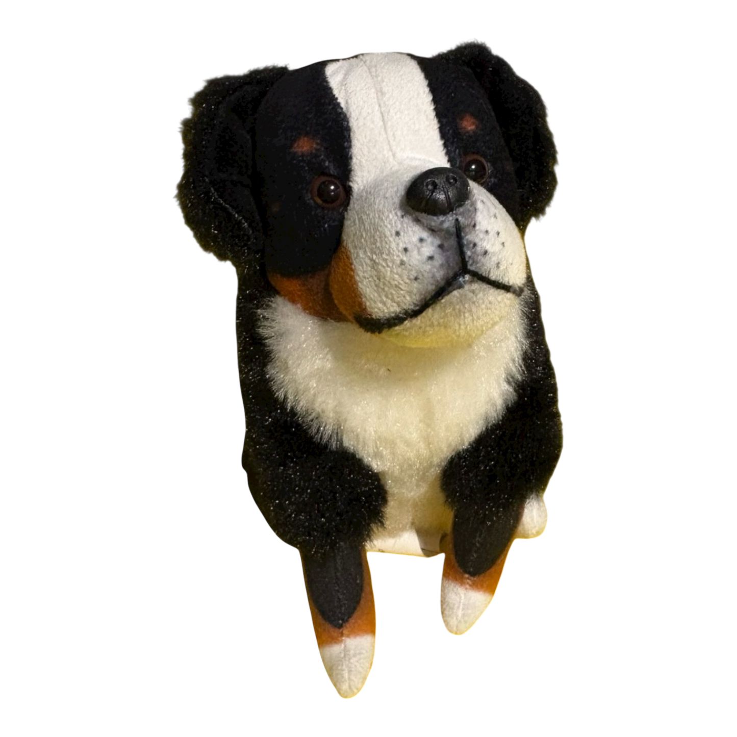 Bernese Dog