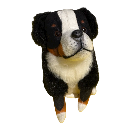 Bernese Dog